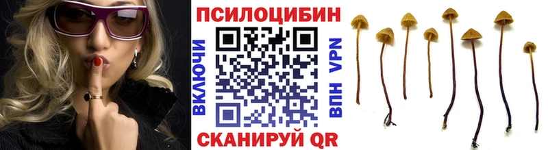 Галлюциногенные грибы Magic Shrooms  Грязи 
